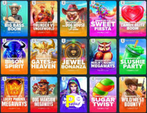 Interface Premium P9